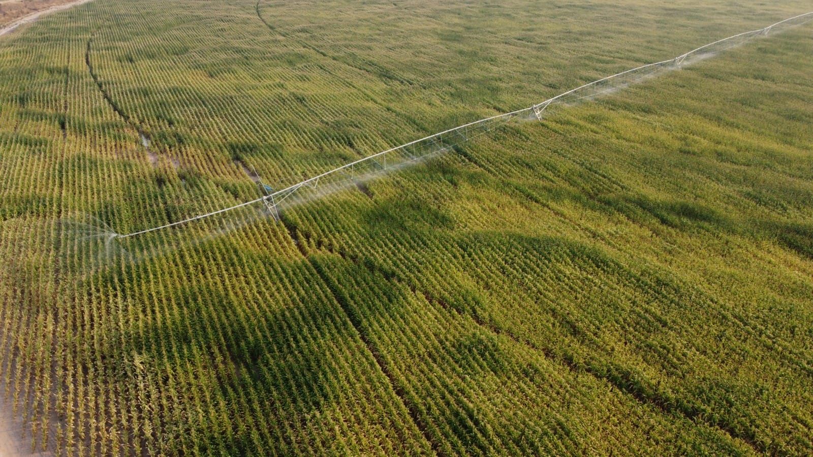 Produtos Da Fazenda Mumba Conquistam Selo Feito Em Angola 4 De Produtos Da Fazenda Mumba Conquistam Selo Feito Em Angola 4 De